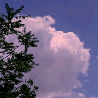 魔幻战记游戏